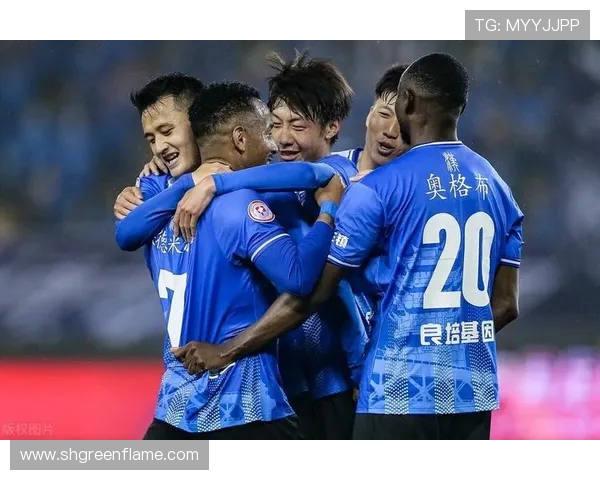 武汉羽毛球队盯防体系解析与战术运用探讨 武汉羽毛球队盯防体系解析与战术运用探讨