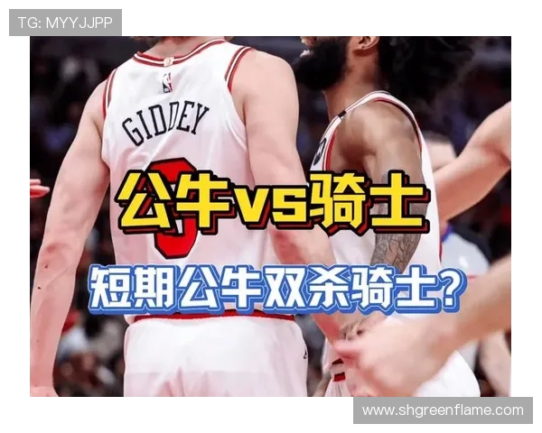 2015年公牛与骑士季后赛激战回顾及精彩瞬间分析