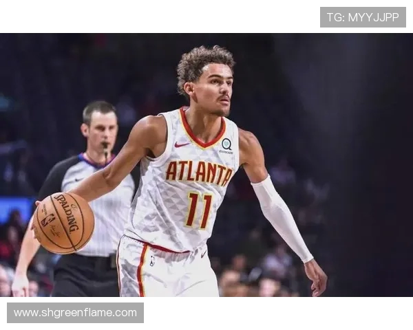 特雷杨的篮球之路：从新秀到全明星的辉煌蜕变与挑战