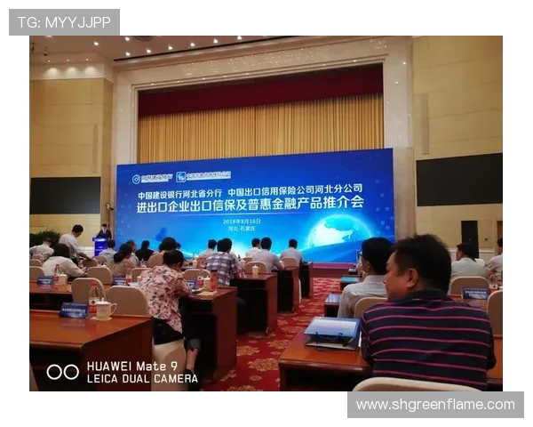 王汝恒：探索科技与人文交融的创新之路，助力未来发展新篇章