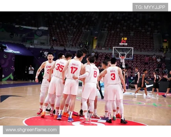 男篮蓝队对阵新西兰精彩赛事视频回顾与分析