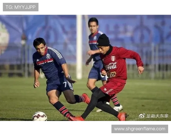 秘鲁与委内瑞拉足球比赛直播全程回顾与精彩瞬间分析