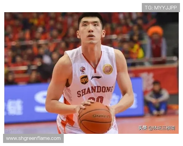 陶汉林：从篮球场上的拼搏者到社会公益的积极倡导者