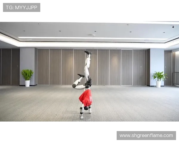 北京极限运动队荣登全国技术排行榜第二名引发热议