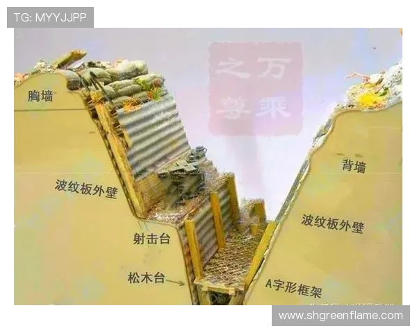 北京排球队防反战术解析与实战应用探讨