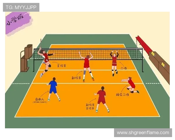 排球盛宴：深入分析成都排球队员的个人技术与战术素养